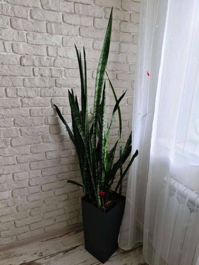 Prime Apartments Hrodna Exterior foto